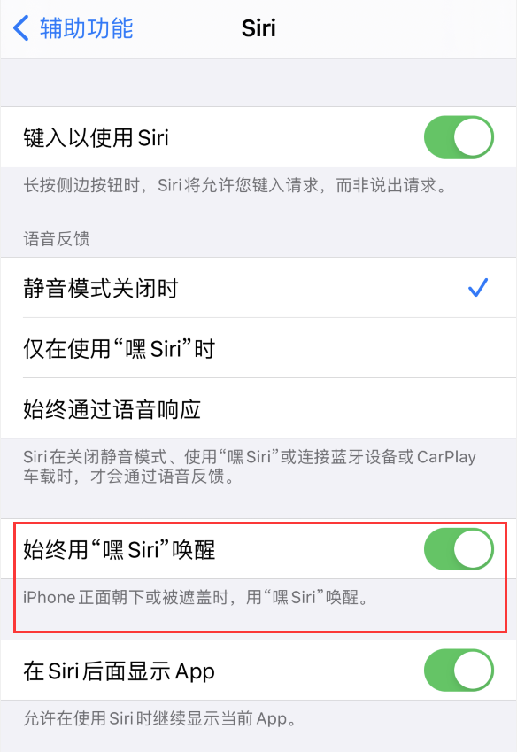 东宝苹果手机维修分享使用 iPhone 12 时 Siri 不会正常回应怎么办 